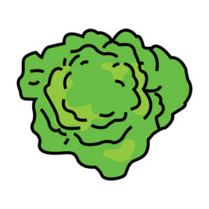 Lechuga